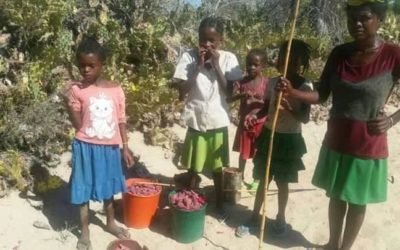 Famine au sud de Madagascar: envoi de dons pour nourrir les enfants scolarisés