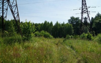 Travaux d’élagage et abattage sous la ligne haute tension